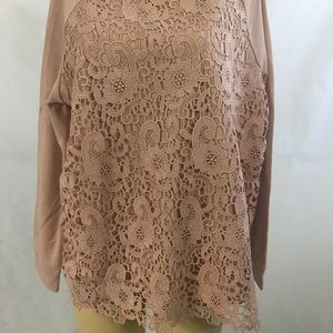Adrianna Papell Sweatshirt NWT XL